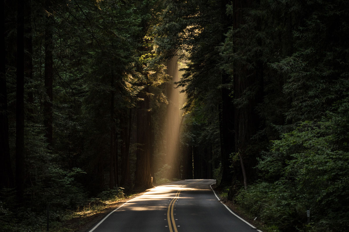 Why Every Believer Is Called to Evangelism